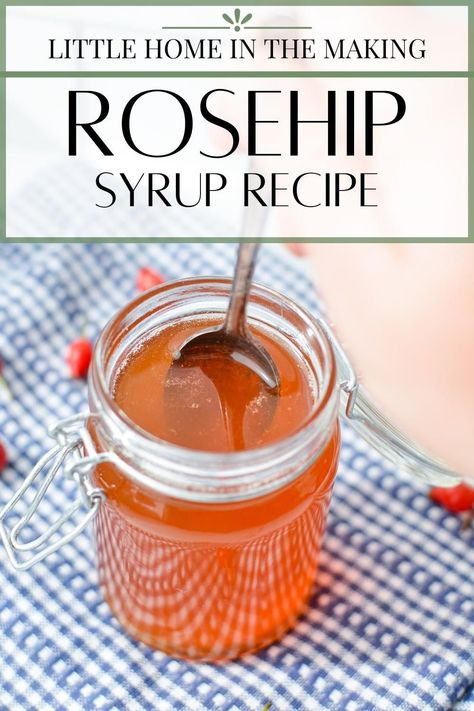 If you're looking for rosehip recipes, you have to try this easy rosehip syrup recipe with honey. This easy recipe is made with just 3 simple ingredients and is the perfect first foraging recipe for beginners. Rosehips contain vitamin C, meaning it's a great way to give your immune system a boost. Not to mention it tastes great too! Perfect for adding to kombucha, tea, or yogurt! Rosehip Recipes, Rosehip Syrup, Recipe With Honey, Mixology Recipes, Rosehip Tea, Recipe For Beginners, Foraging Recipes, Kombucha Tea, Homemade Syrup