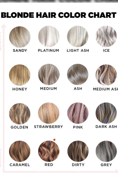 Hair Ombre Brown, Blonde Hair Color Chart, Slavic Hair, New Dreads, Rose Blonde, Blonde Dreads, Natural Dreads, Crochet Dreadlocks, Dread Extensions