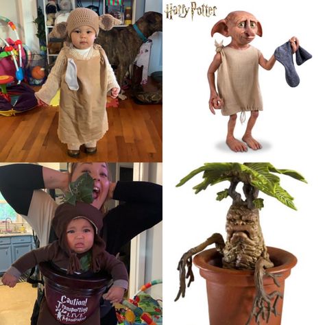 Dobby and Mandrake Diy Costumes, Summer Dresses