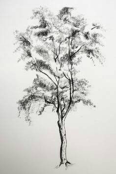 Coal Drawing, Easy Things To Draw, Tree Sketches, Pen Art Drawings, Landscape Sketch, Charcoal Drawings, Charcoal Sketch, Things To Draw, Drawing Faces