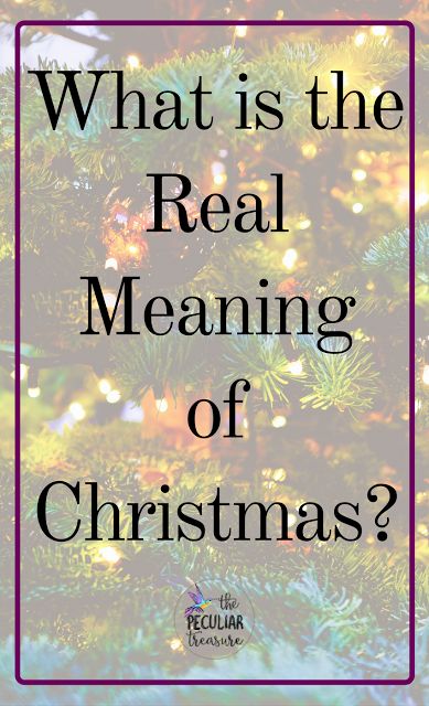 Do you REALLY know the meaning of Christmas? It's more than just a baby and a virgin. The Meaning Of Christmas, Sacrifice Love, The True Meaning Of Christmas, Birth Of Christ, Encouragement For Today, Christ Centered Christmas, The Birth Of Christ, The Sacrifice, Meaning Of Christmas