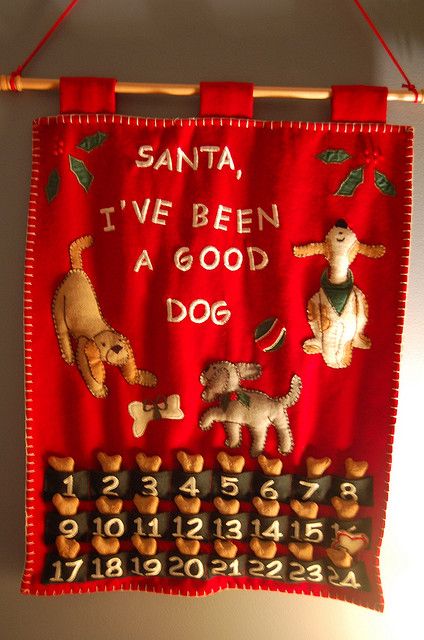 This was my mother's early Christmas present for her grandpuppy, Darwin. She purchased the calendar, but the dog biscuits are HOMEMADE!!!  Darwin received his first biscuit last evening when I got home from work. When I left this morning, he was sitting beneath it, nose turned up, whining for another!  It is hard to explain the concept of 'advent' to a creature whose brain is located in his belly. Dog Advent Calendar, Christmas Presents For Her, Good Dog, Dog Crafts, Noel Christmas, Christmas Advent, Diy Dog Stuff, Christmas Cheer, Christmas Dog