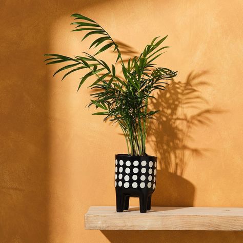 Stripes, spots or dashes - which one would you choose?⁣ ⁣ This plant holder isn’t factory-made; it’s the result of love, sweat, and the incredible craftsmanship of the Tabaka Chigware Youth Group. Your purchase supports clean water, healthcare, and education in the community. You’re not just decorating; you’re making a world of difference. Colorful Boho Living Room, Chic Boho Living Room, Black Soapstone, Boho Kitchen Decor, African Inspired Decor, African Interior, Boho Living Room Decor, Unique Storage, Basket Planters