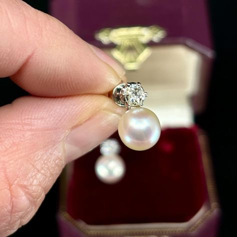 Pearls and Diamonds are such an elegant combination. These stud earrings are from circa 1920’s, and they are set with 7.7mm Akoya Pearls sitting snuggly below claw set round brilliant cut Diamonds, totalling 0.44ct, set in 18K white gold. The lustre on the Akoya Pearls is really beautiful. DM us for enquiries 🐚 * Please note items over $5K are ‘pick up in store’. Sales items do not include resizing nor postage. ______________________________________ #antiquejewellery #ringsofinstagra... Akoya Pearls, Antique Jewellery, Round Brilliant Cut Diamond, Round Brilliant, Pick Up, In Store, Diamonds, White Gold, Stud Earrings