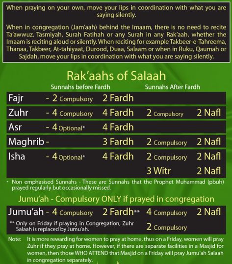 Namaz Rakat Chart, Salaah Guide, Namaz Step By Step For Women, Salah Guide, How Many Rakat In Salah, All Namaz Rakat, Surahs To Read After Each Salah, How To Read Namaz, Zuhr Prayer