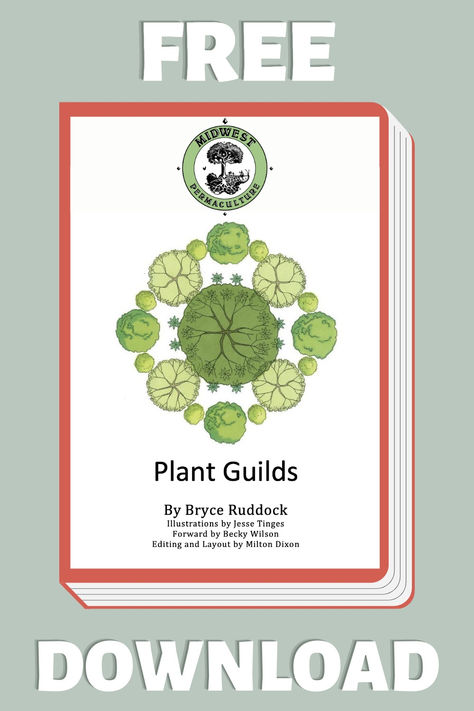 Permaculture Plant Guilds Plant Guilds, Tree Guild, Permaculture Farm, Companion Plants, Permaculture Design, Plum Tree, Editing Skills, Root System, Human Relationship