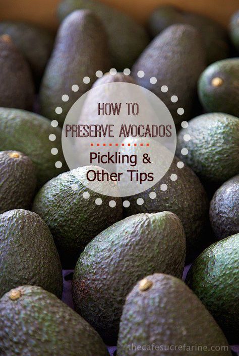 Preserving Avocados, Homestead Canning, Food Tutorials, Preserving Foods, Brunch Cake, Avocado Brownies, Kitchen Tricks, Avocado Dressing, Fresh Recipes