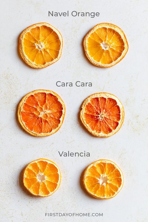 Learn all about drying and dehydrating orange slices for decorating or culinary uses. In this complete guide, you'll learn how to make dried orange slices at home using either an oven or food dehydrator. #driedorangeslices #driedoranges #firstdayofhome Dehydrated Orange Slices For Cocktails, Dried Oranges On Christmas Tree, Dried Apple Slices Decoration, Dried Apples In The Oven For Decoration, How To Dehydrate Oranges, How To Dry Oranges, Dehydrating Orange Slices, Dehydrating Oranges, Dehydrate Oranges