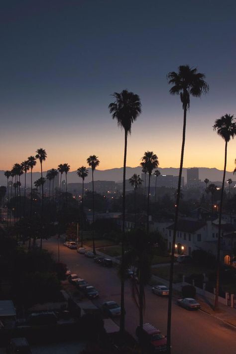 Los Angeles Palm Trees, Los Angeles Wallpaper, Palm Trees Wallpaper, California Love, Tree Wallpaper, City Of Angels, California Dreamin', Locked Wallpaper, California Dreaming