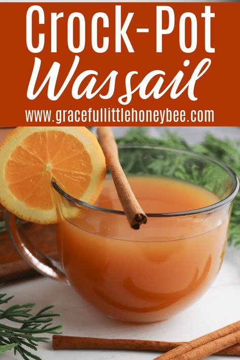 Hot Wassail Recipe Crock Pot, Crockpot Wassail Recipe, Crockpot Wassail, Wassail Recipe Crockpot, Wassil Recipe, Christmas Wassail, Hot Mulled Cider, Food Slow Cooker, Slow Cooker Christmas