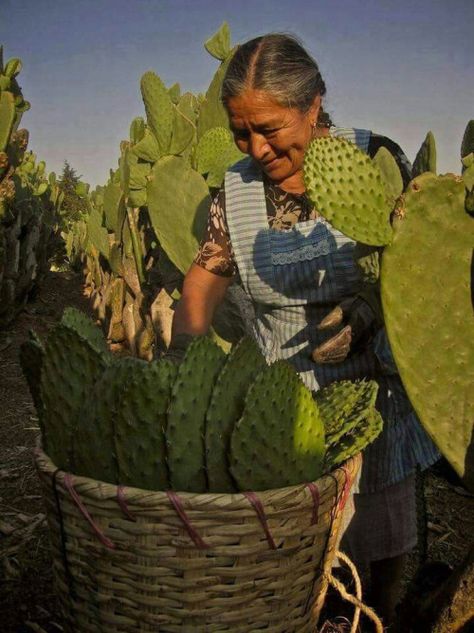 Mexico People, Mexican People, Mexican Traditions, Mexican Heritage, Mexico Culture, America Latina, Mexican Women, Mural Ideas, South Of The Border