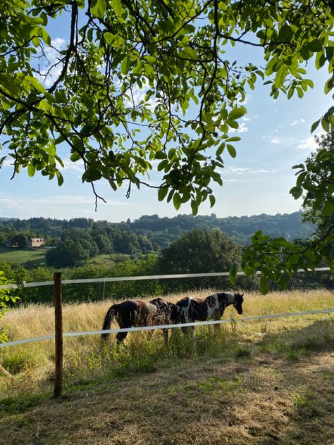 Horse. Stables. Barn. Farm. Aesthetic. Picture inspi. Ig story. Instagram. Summer. Spain Aesthetics, Fun Activites, Farm Core, Farm Aesthetic, Big Farm, Farm Lifestyle, Cottage Life, Inspo Pics, Aesthetic Picture