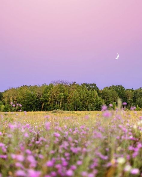 Mom Painting, Purple Board, Glitter Ideas, Fantasy Settings, Purple Skies, Lilac Sky, Pink Skies, Nature Vibes, Moon Aesthetic