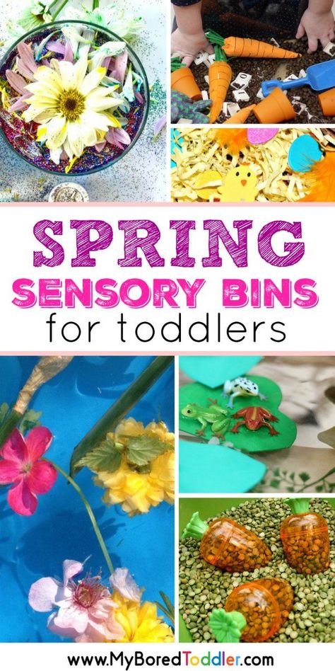 Spring Sensory Bins for Toddlers pinterest Sensory Bins For Toddlers, Spring Activities For Kids, Spring Sensory, Ladybug Crafts, Toddler Sensory, Spring Fun, Toddler Snacks, Spring Theme, Spring Activities