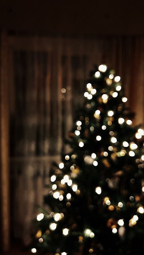 Christmas Bokeh Wallpaper, Christmas Blurred Background, Bokeh Christmas Lights, Blurred Christmas Tree Background, Merry Christmas Aesthetic Photo, Christmas Tree Blurry, Christmas Tree Close Up, Christmas Tree Lights Aesthetic, Xmas Tree Aesthetic