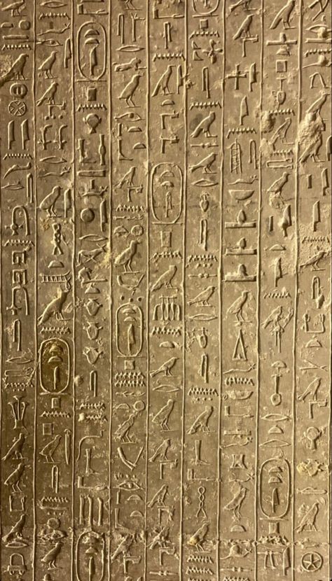 Archeology Wallpaper, Egyptian Background, Egypt Wallpaper, Egyptian Cartouche, Egyptian Aesthetic, Desert Ecosystem, Egyptian Civilization, Life In Egypt, Egypt Aesthetic