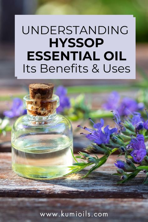 Explore the uses and benefits of hyssop essential oil, as well as provide tips on how to incorporate it into your daily routine. Hyssop Essential Oil, Essential Oil Benefits, Deep Meditation, Headache Relief, Eucalyptus Essential Oil, Oil Benefits, Best Essential Oils, Sweet Scents, Diffuser Blends