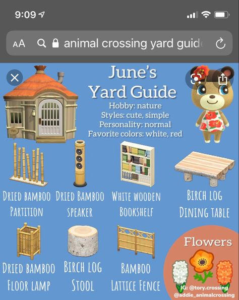 Coco Yard Guide Acnh, Acnh June House, June Animal Crossing, Animal Crossing Yard Guide, Anch Villagers, Acnh Yard Guide, Villagers Acnh, Acnh Characters, Animal Crossing Yard