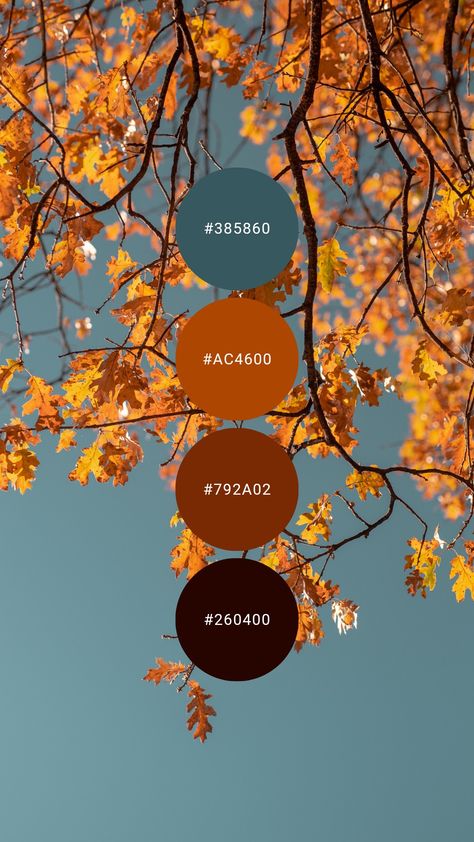 Autumn leaves in orange and red pair nicely with muted blue. Try it in the kitchen, dining room, family / living room, or home office. #colourpalette #colorpalette #colour #color #palette #rust #darkcherry #slateblue #bright #autumn #fall #leaves Blue And Orange Autumn Aesthetic, Orange Home Office Ideas, Bright Color Palette Interior Design, Living Room Autumn Colors, Copper Complimentary Colors, Rust Colour Living Room, Fall Color Palette With Blue, Bright Orange Palette, Blue Orange Brown Color Palette