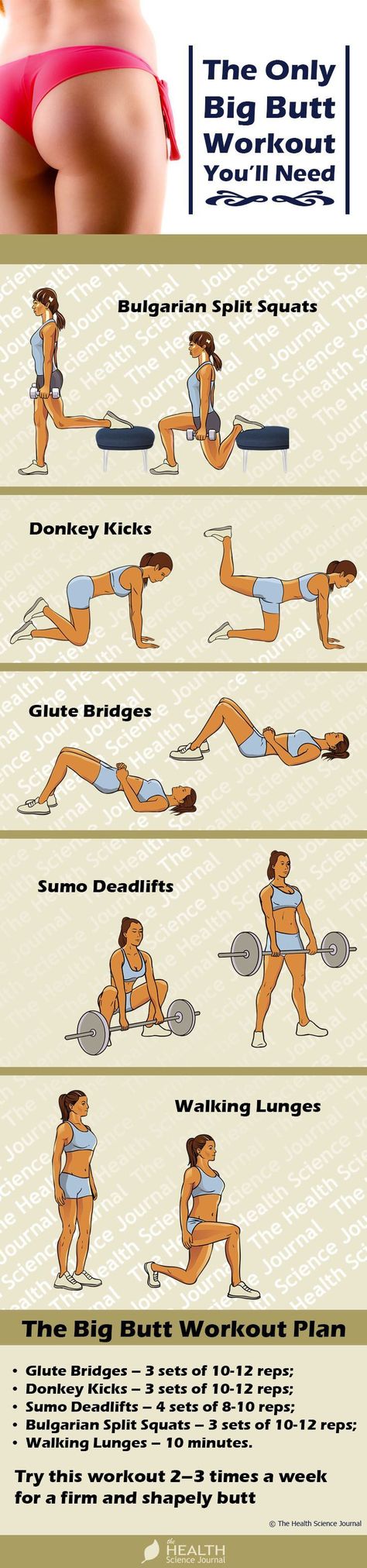 Mens Exercise, Thick Thighs Workout, Thicker Thighs, Thighs Workout, Bigger Buttocks Workout Exercises, Workout Hiit, Workout Abs, Exercise Ideas, Buttocks Workout