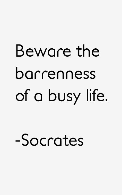 Socrates Quotes & Sayings Too Busy Quotes, Busy Quote, Busy Quotes, Billionaire Homes, Socrates Quotes, Stoicism Quotes, Sense Of Purpose, Stoic Quotes, Vie Motivation