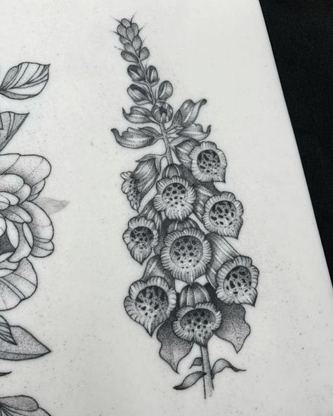 Foxglove Tattoo Design, Foxglove Tattoo Black And White, Fox Glove Flower Tattoos, Poison Mushroom Tattoo, Mushroom Bouquet Tattoo, Flower Garden Tattoo Ideas, Garden Flower Tattoo, Foxglove Tattoo Simple, Fox Gloves Tattoo