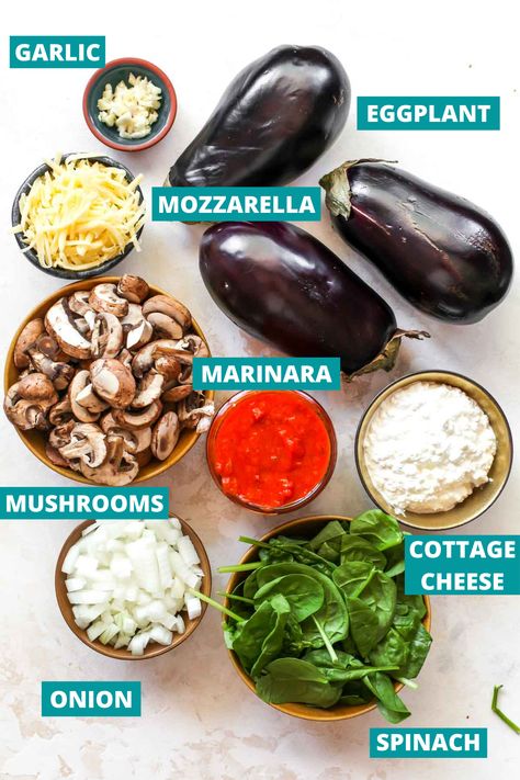 Eggplant Lasagna Vegetarian, Low Carb Eggplant Recipes, Lasagna Boats, Eggplant Lasagna Recipe, Vegetarian Low Carb, Eggplant Recipes Healthy, Dishing Out Health, Vegetarian Lasagna Recipe, Healthy Eggplant