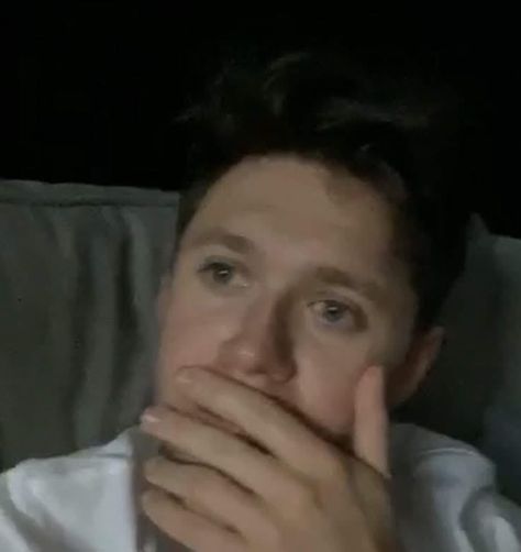 Zone Out Reaction Pic, One Direction Memeable Face, Facial Expression Memes, Niall Horan Funny, Reaction Photos, Brain Cells, Irish Princess, One Direction Memes, James Horan