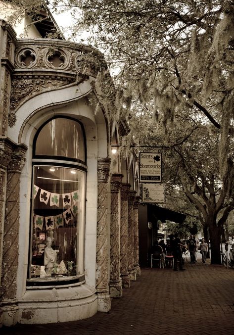 Savannah in Squares and Shadows | Adventurous Kate Savannah Shopping, Riverside City, Give Me A Chance, Georgia Vacation, City By The Sea, Adventure Ideas, Southern Life, Savannah Wedding, Southern Gothic