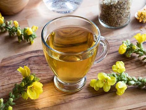 Mullein Tea, Mullein Leaf, Natural Decongestant, Runner's World, Health Planner, Respiratory Health, Herbal Infusion, Tea Benefits, Natural Cough Remedies