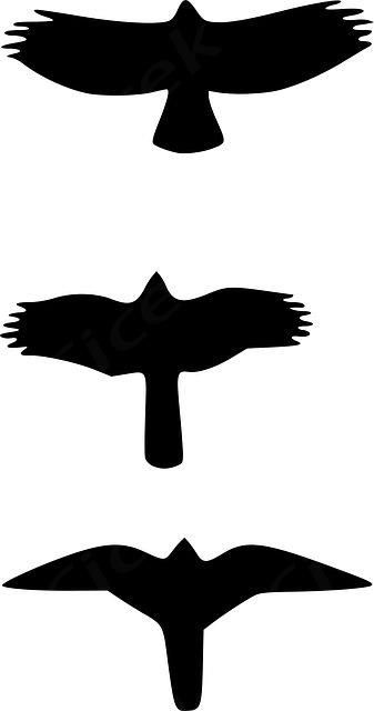 Download this free vector of Birds Flying Silhouette from Pixabay's vast library of royalty-free stock images, videos and music. Birds Flying Silhouette, Birds Template, Flying Bird Silhouette, Bird Silhouettes, Flying Birds, Paper Birds, Flying Bird, Bird Silhouette, Birds Flying