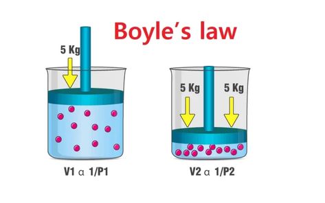 Gas laws, Boyle's law and properties of gaseous materials | Science online Beer Bottle Drawing, Gas Laws, Boyle's Law, Ideal Gas Law, Brownian Motion, Fill Your Bucket, Bottle Drawing, Holography, Fluid Dynamics