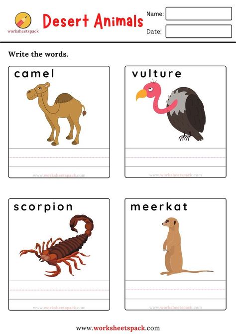 Kindergarten writing worksheets Desert Animals Worksheet, Printable Writing Worksheets, Writing Worksheets For Kindergarten, Kindergarten Writing Worksheets, Animal Worksheets, Desert Animals, Worksheets For Kindergarten, Practice Writing, Kindergarten Writing