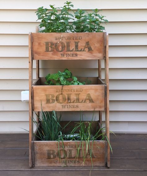 Herb garden growing in wine boxes (a flea market gem) Wooden Crate Garden Ideas, Wooden Crates For Plants, Wine Crate Flower Boxes, Wine Box Garden, Wine Crate Planter Box Garden, Wine Box, Herb Garden, Flea Market, Ladder Decor