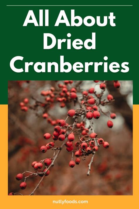 All About Dried Cranberries Dried Cranberries Benefits, Cranberry Health Benefits, Dried Fruit Recipe, Cranberry Benefits, Dried Cranberry, Fruit Health Benefits, Fruit Benefits, Fresh Cranberries, Digestion Problems