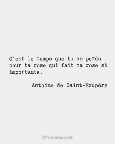 t's the time that you've wasted for your rose that makes your rose so important. • Antoine de Saint-Exupéry, French writer and aviator (1900-1944) Rose Quotes, Rudolf Steiner, French Rose, Popular Quotes, Pretty Quotes, Talk To Me, Mindfulness, Graphic Design, Quotes