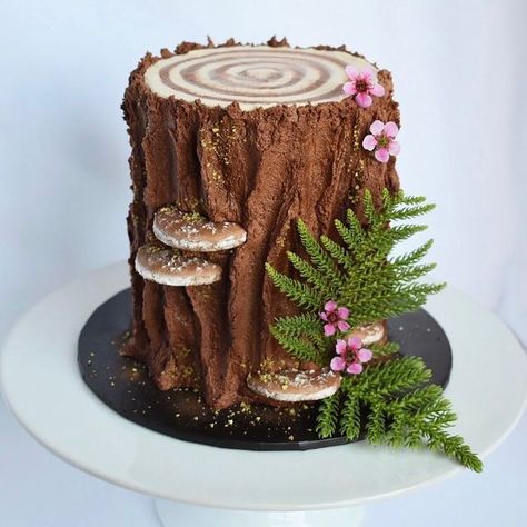 Tree Stump Cake With Flowers, Tree Stump Birthday Cake, Tree Stump Cake Ideas, Nature Themed Cake, Woodland Creature Cake, Earthy Cake, Tree Bark Cake, Nature Cakes, Birch Tree Cake