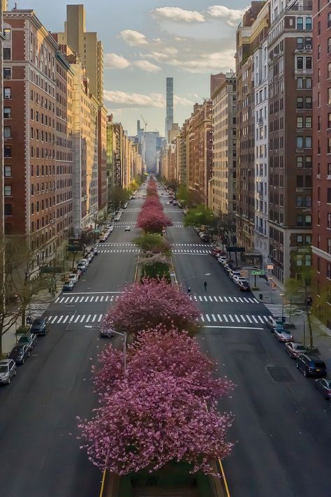 Nyc Upper East Side, Nyc Aesthetic, New York Aesthetic, New York Life, Upper East Side, Nova York, Concrete Jungle, Park Avenue, City Aesthetic