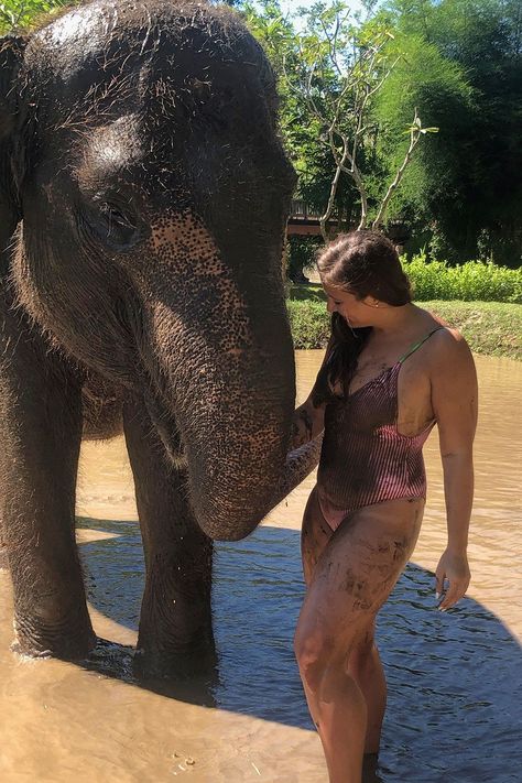 Travel Blogger Bathing Elephants in Bali – Interactive Experience at the KS Elephant Sanctuary Bathing Elephants, Sumatran Elephant, Tomorrow Is My Birthday, Thailand Elephants, Elephant Shower, Elephants Photos, Interactive Experience, Inspirational Life Photos, Circus Elephant