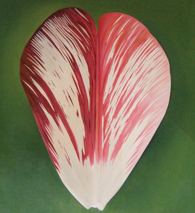 rory mcewen botanical artist | Jools Holland’s Favourite Painting - Country Life Tulip Petals, History Drawings, Jools Holland, Tulips Art, Fantasy Drawings, Watercolor Subjects, Leaf Drawing, Botanical Artwork, Watercolor Flower Art