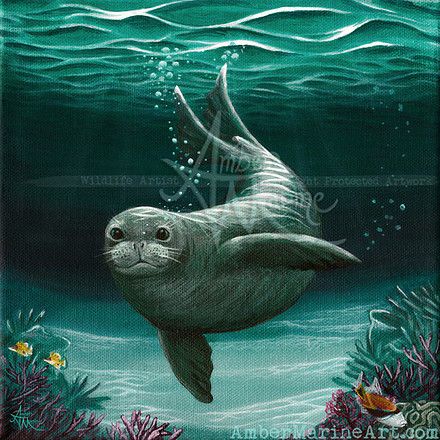 Gallery •  "Hawaiian Monk Seal" acrylic painting, art by wildlife artist Amber Marine ••• AmberMarineArt.com •••  (copyright 2015, all rights reserved.) Lion Painting Acrylic, Endangered Species Art, Hawaiian Monk Seal, Monk Seal, Underwater Painting, Wildlife Artwork, Marine Art, Book Sculpture, Wildlife Artists