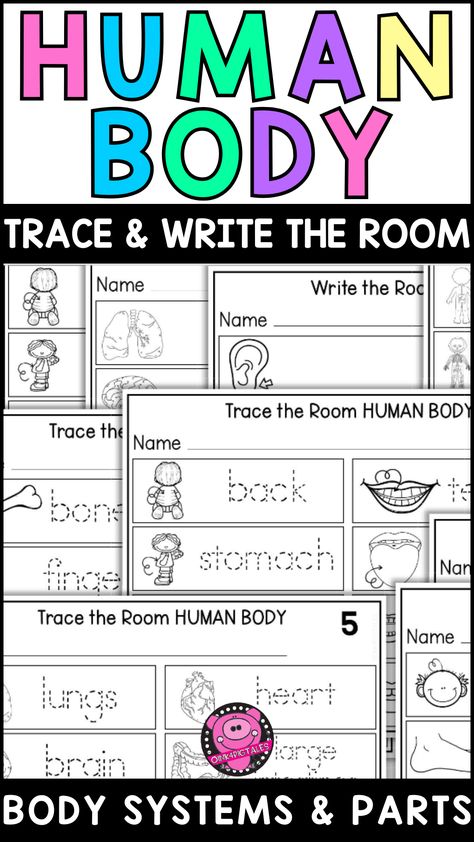 Make learning about the human body fun and engaging with these Body Parts and Systems Worksheets! Perfect for Kindergarten and 1st-grade students, this differentiated unit covers body parts, organs, muscles, and human body systems. Ideal for science centers, these activities align with NGSS standards and work with any science curriculum. 1st Grade Human Body Unit, Parts Of The Body Worksheet Kindergarten, Science Center Activities, Prek Learning Activities, Science First Grade, First Grade English, Preschool Memory Book, Body Systems Worksheets, Prek Learning