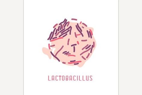 Lactobacillus Colony Image by Anna's Shop on @creativemarket Background Medical, Lactobacillus Acidophilus, Icon Design, Pink Color, White Background, Vector Illustration, Medical, Custom Design, Pink