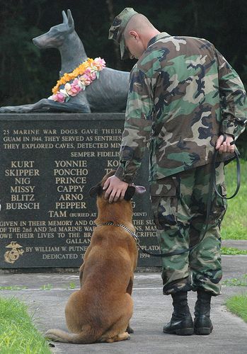 Not all of our veterans are human.                                                                                                                                                      More Military Working Dogs, Koci Humor, Military Dogs, Love My Dog, Foto Tips, Dog Memorial, American Heroes, Working Dogs, Service Dogs