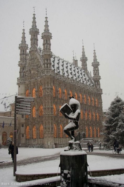 Leuven Ku Leuven, Leuven Belgium, Visit Belgium, Architecture Collection, Belgium Travel, Western Europe, Beautiful Places To Travel, Town Hall, European Travel