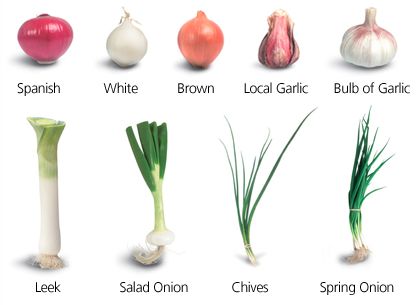 Green Girl Goodies: A Guide to Healthy Happy Eats: Friday Food Facts: Onions Types Of Garlic, Leek Salad, Seasonal Allergy Relief, Onion Benefits Health, Types Of Onions, Onion Bulbs, Onion Salad, Healthy Food Facts, Garlic Bulb