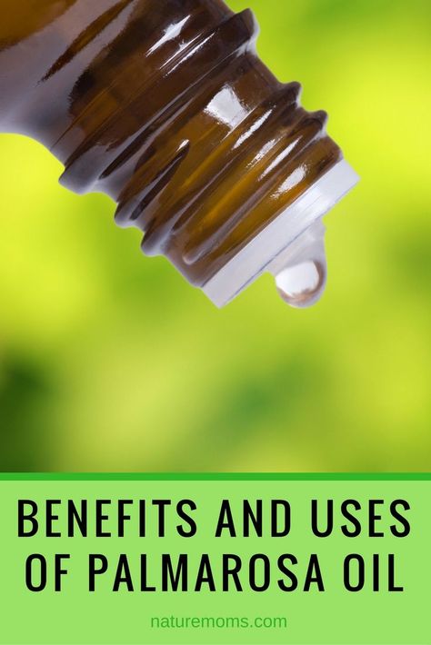 Benefits Uses Palmarosa Oil Essential Oils Benefits, Oils Benefits, Palmarosa Essential Oil, Esential Oils, Essential Oil Skin Care, Body Butters Recipe, Essential Oils Herbs, Essential Oil Benefits, Natural Parenting