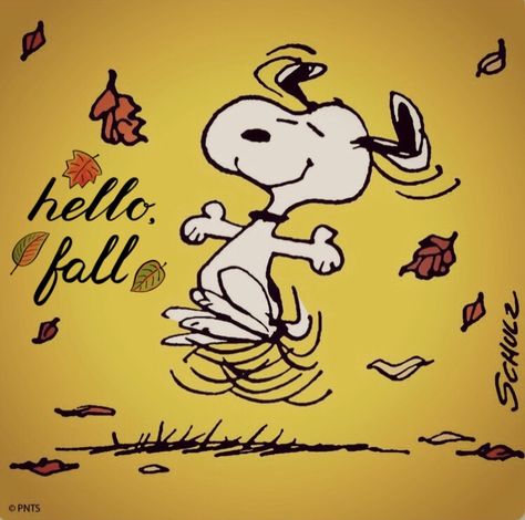 Hello Fall! 😁🍃🍂🍁 Snoopy Friday, Fall Snoopy, Snoopy Nails, Snoopy Fall, Autumn Pictures, Peanuts Snoopy Woodstock, Snoopy Images, Fall Images, Peanuts Cartoon