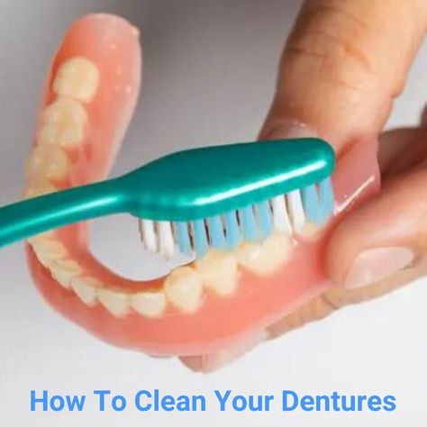 So you invested in new dentures, but how do you get the most out of them? There is some daily maintenance. However, it is actually quite easy. That’s one of the benefits of wearing dentures. My article helps you understand more about the affordable brands of dentures and everything you need to know about keeping them clean. Affordable Dentures, Denture Implants, Dentures, Dental Implants, Need To Know, Benefits