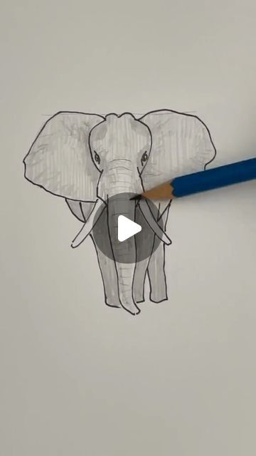 Drawing An Elephant Step By Step, Drawing An Elephant, Elephant Drawing Tutorial, How To Draw An Elephant Easy, How To Draw An Elephant, Draw An Elephant Easy, Elephants Drawing, Elephant Line Drawing, Easy Elephant Drawing